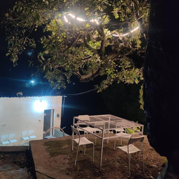 Valley Nest For 6-12 Pax Mount Abu Dış mekan fotoğraf