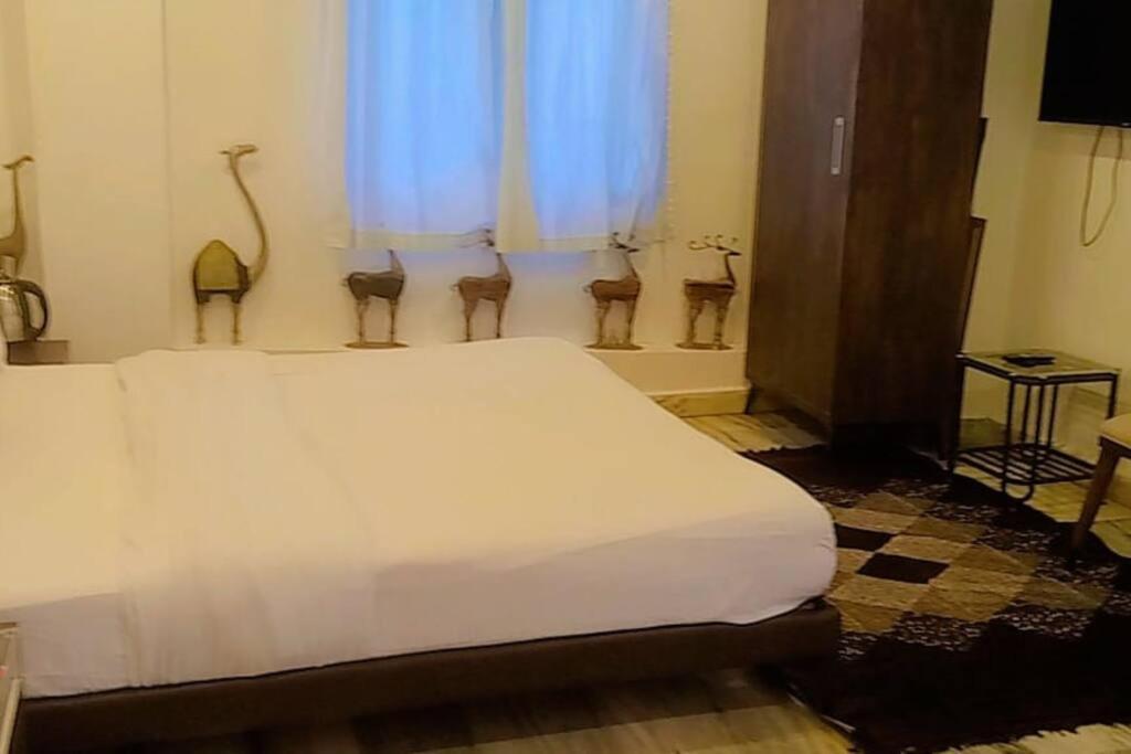 Valley Nest For 6-12 Pax Mount Abu Dış mekan fotoğraf