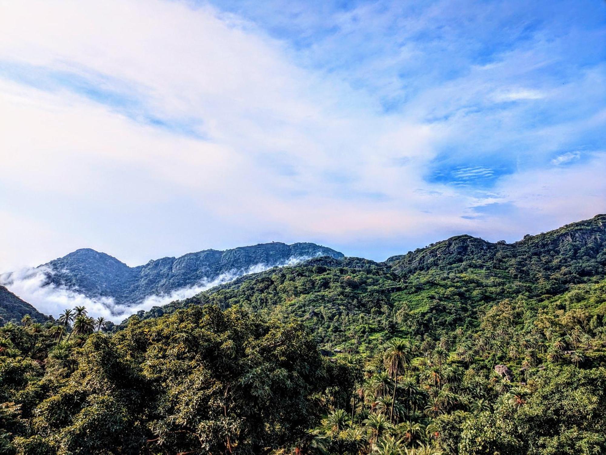 Valley Nest For 6-12 Pax Mount Abu Dış mekan fotoğraf