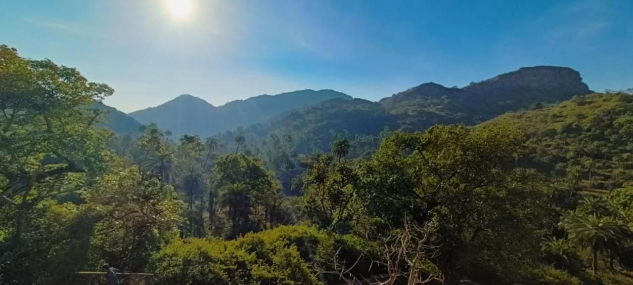 Valley Nest For 6-12 Pax Mount Abu Dış mekan fotoğraf